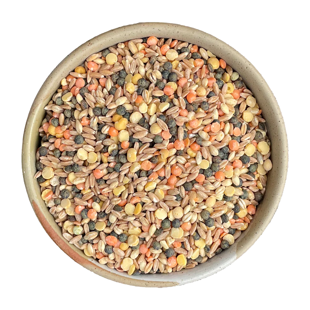 Rice Legumes & Grains