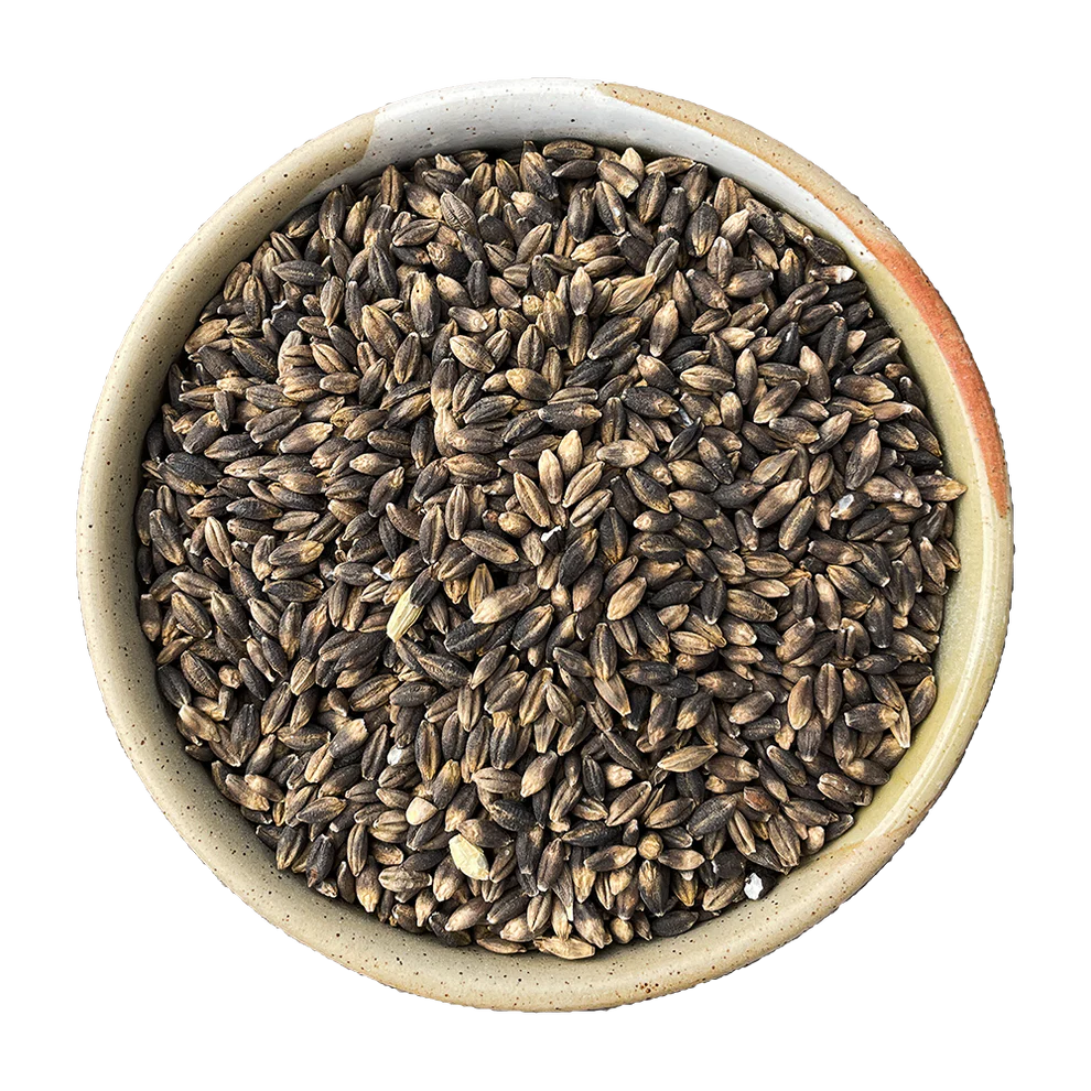 Organic Black Barley