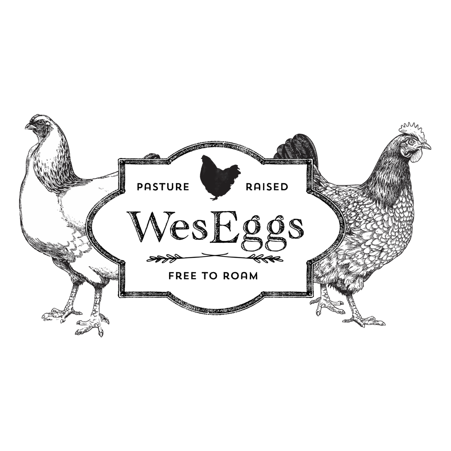 Wes Eggs - 800g Dozen