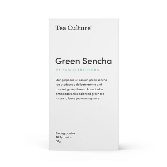 Green Sencha Pyramid Infusers