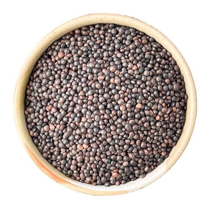 Beluga Black Lentils